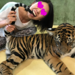 タイ夫婦旅 ドンムアン空港からプーケットで観光 パトンシーフードが絶品