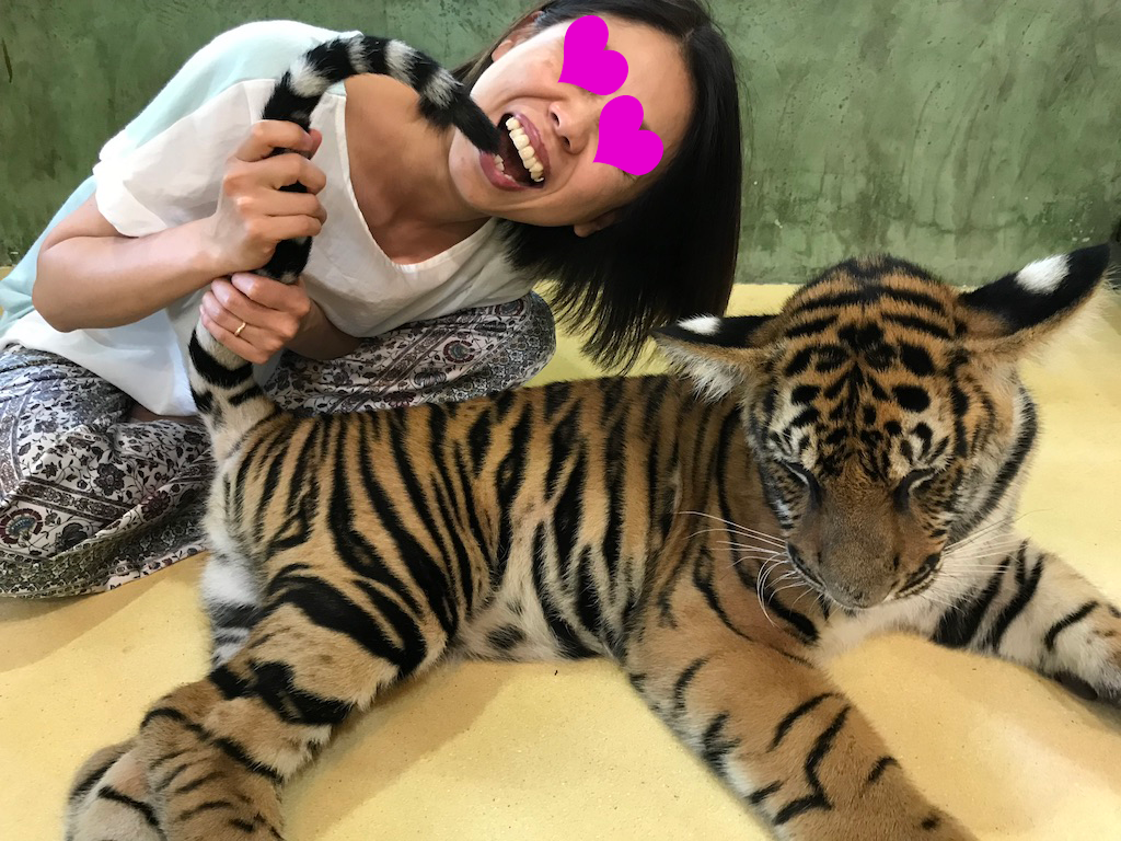 タイ夫婦旅 ドンムアン空港からプーケットで観光 パトンシーフードが絶品