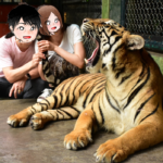 タイガーキングダム(プーケット)料金・アクセス方法・所要時間・事故は？