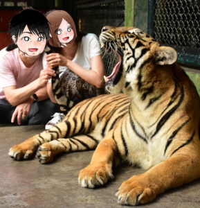 タイガーキングダム(プーケット)料金・アクセス方法・所要時間・事故は？